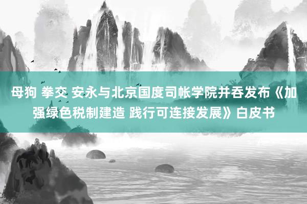 母狗 拳交 安永与北京国度司帐学院并吞发布《加强绿色税制建造 践行可连接发展》白皮书