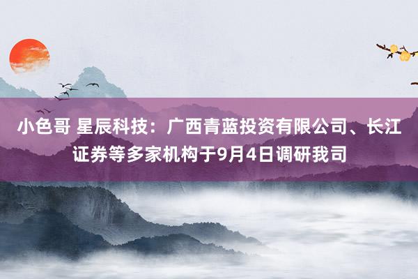 小色哥 星辰科技：广西青蓝投资有限公司、长江证券等多家机构于9月4日调研我司