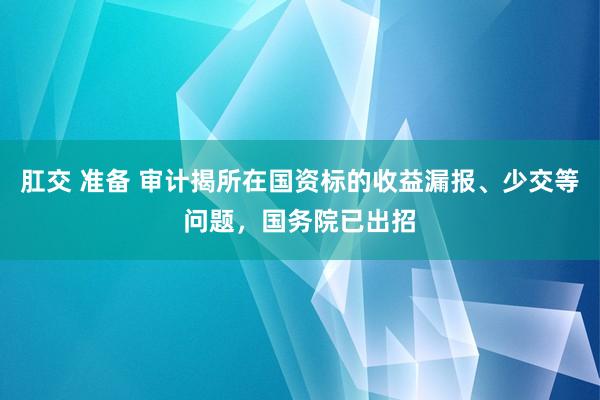 肛交 准备 审计揭所在国资标的收益漏报、少交等问题，国务院已出招