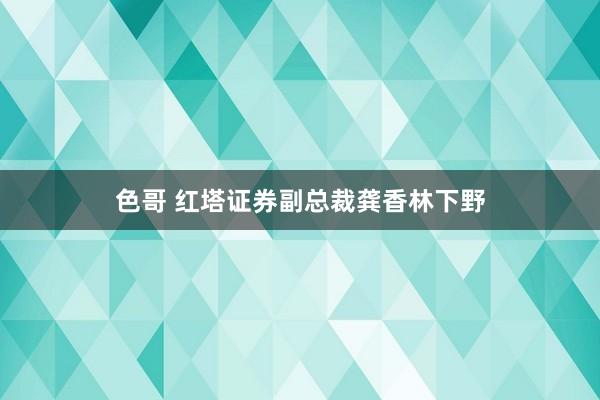 色哥 红塔证券副总裁龚香林下野