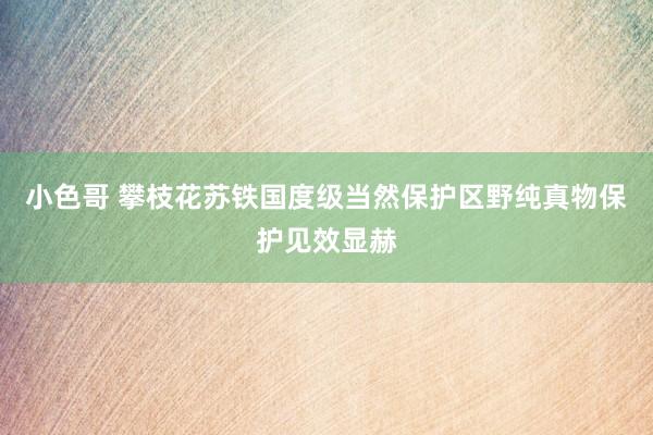 小色哥 攀枝花苏铁国度级当然保护区野纯真物保护见效显赫