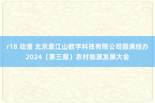 r18 动漫 北京爱江山数字科技有限公司圆满经办2024（第三届）农村能源发展大会