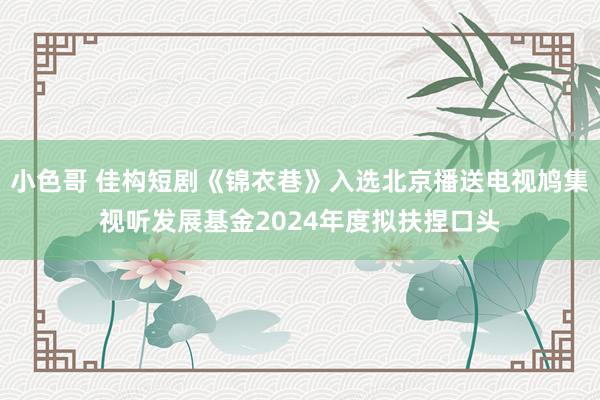 小色哥 佳构短剧《锦衣巷》入选北京播送电视鸠集视听发展基金2024年度拟扶捏口头