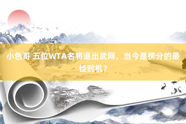 小色哥 五位WTA名将退出武网，当今是捞分的最佳时机？