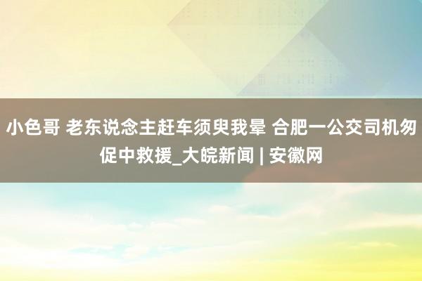 小色哥 老东说念主赶车须臾我晕 合肥一公交司机匆促中救援_大皖新闻 | 安徽网