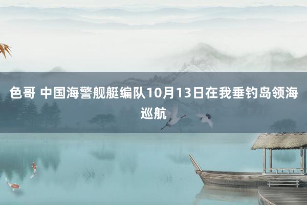 色哥 中国海警舰艇编队10月13日在我垂钓岛领海巡航