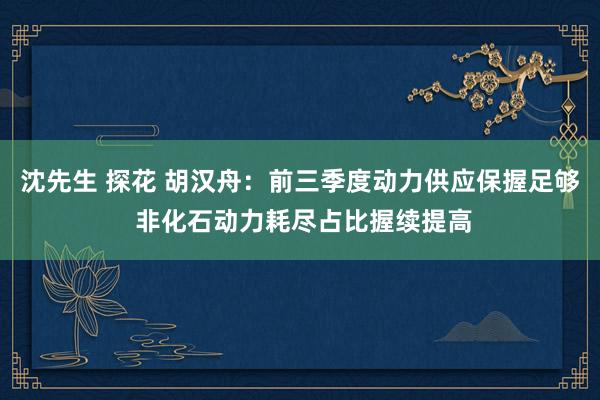 沈先生 探花 胡汉舟：前三季度动力供应保握足够 非化石动力耗尽占比握续提高