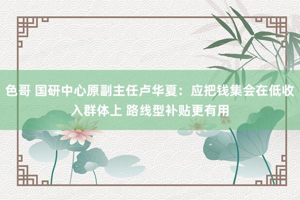 色哥 国研中心原副主任卢华夏：应把钱集会在低收入群体上 路线型补贴更有用