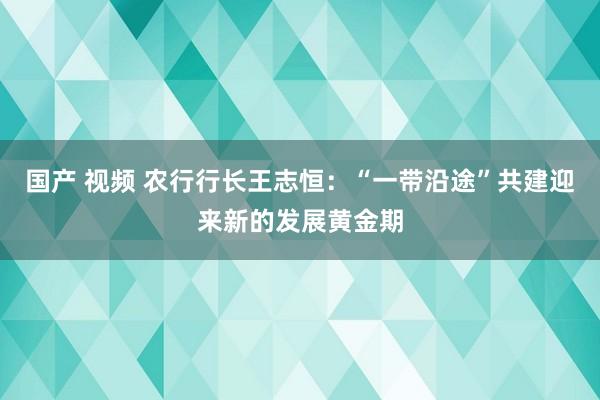 国产 视频 农行行长王志恒：“一带沿途”共建迎来新的发展黄金期