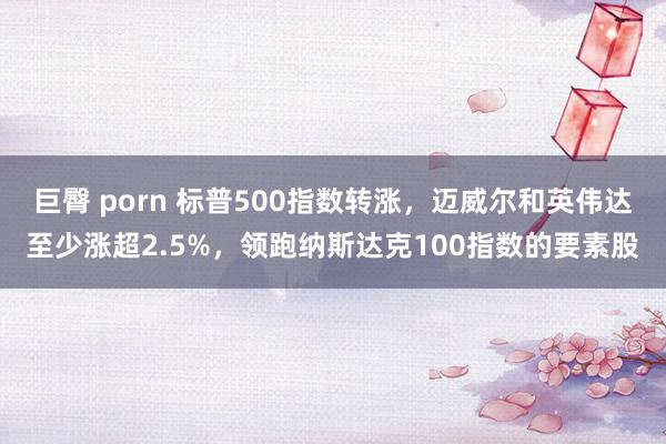 巨臀 porn 标普500指数转涨，迈威尔和英伟达至少涨超2.5%，领跑纳斯达克100指数的要素股