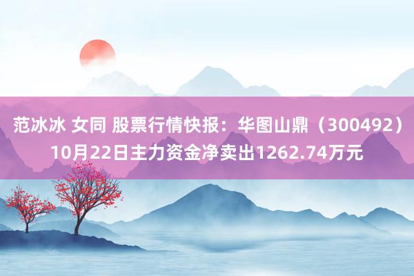 范冰冰 女同 股票行情快报：华图山鼎（300492）10月22日主力资金净卖出1262.74万元