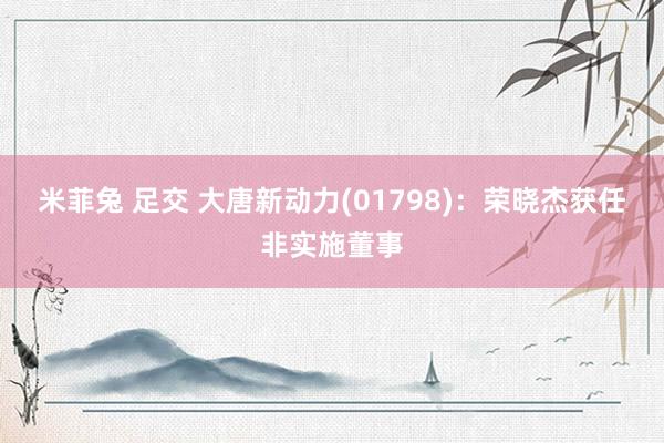 米菲兔 足交 大唐新动力(01798)：荣晓杰获任非实施董事