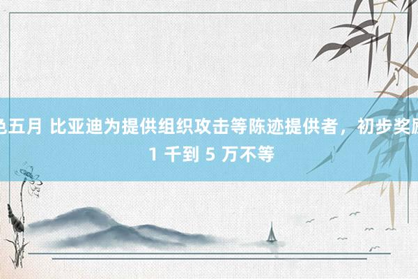 色五月 比亚迪为提供组织攻击等陈迹提供者，初步奖励 1 千到 5 万不等