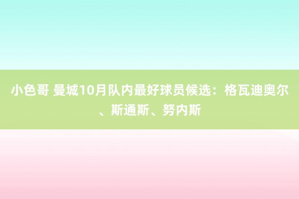 小色哥 曼城10月队内最好球员候选：格瓦迪奥尔、斯通斯、努内斯