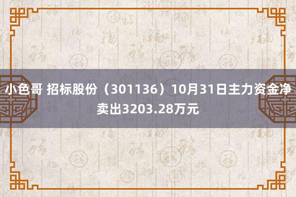 小色哥 招标股份（301136）10月31日主力资金净卖出3203.28万元