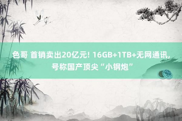 色哥 首销卖出20亿元! 16GB+1TB+无网通讯， 号称国产顶尖“小钢炮”