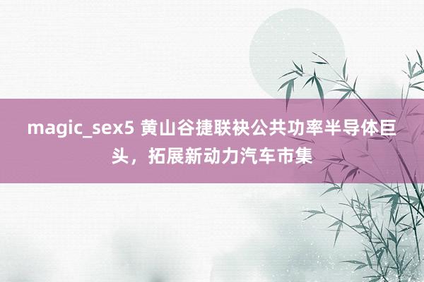 magic_sex5 黄山谷捷联袂公共功率半导体巨头，拓展新动力汽车市集