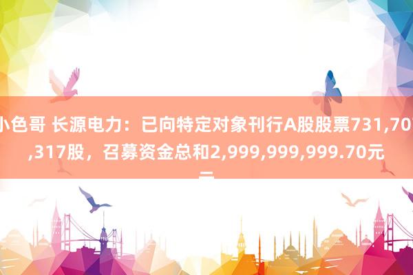 小色哥 长源电力：已向特定对象刊行A股股票731，707，317股，召募资金总和2，999，999，999.70元