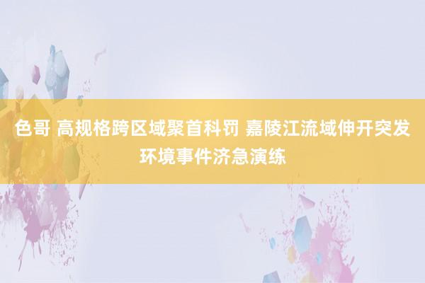 色哥 高规格跨区域聚首科罚 嘉陵江流域伸开突发环境事件济急演练