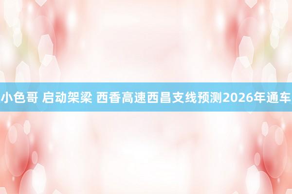 小色哥 启动架梁 西香高速西昌支线预测2026年通车