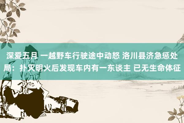 深爱五月 一越野车行驶途中动怒 洛川县济急惩处局：扑灭明火后发现车内有一东谈主 已无生命体征