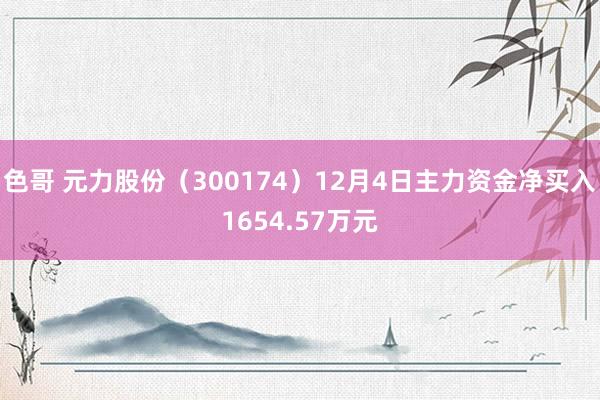 色哥 元力股份（300174）12月4日主力资金净买入1654.57万元