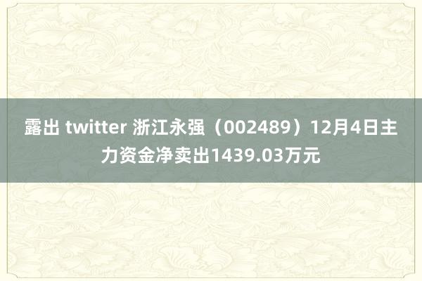 露出 twitter 浙江永强（002489）12月4日主力资金净卖出1439.03万元