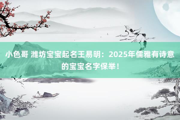 小色哥 潍坊宝宝起名王易明：2025年儒雅有诗意的宝宝名字保举！