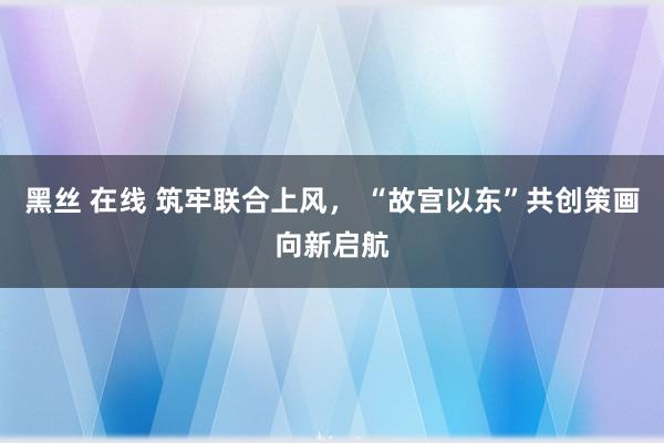 黑丝 在线 筑牢联合上风， “故宫以东”共创策画向新启航