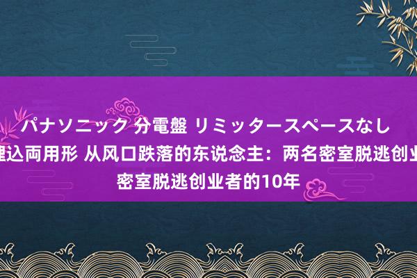 パナソニック 分電盤 リミッタースペースなし 露出・半埋込両用形 从风口跌落的东说念主：两名密室脱逃创业者的10年