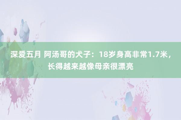 深爱五月 阿汤哥的犬子：18岁身高非常1.7米，长得越来越像母亲很漂亮