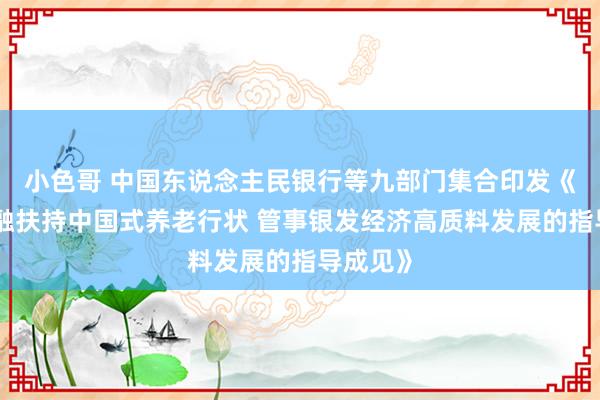 小色哥 中国东说念主民银行等九部门集合印发《对于金融扶持中国式养老行状 管事银发经济高质料发展的指导成见》