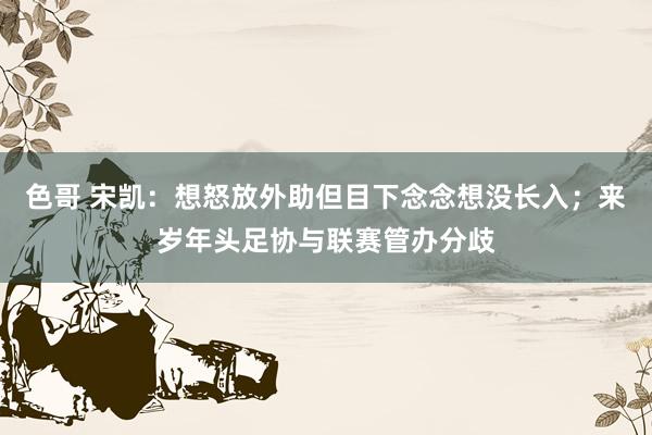 色哥 宋凯：想怒放外助但目下念念想没长入；来岁年头足协与联赛管办分歧