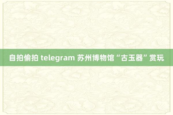 自拍偷拍 telegram 苏州博物馆“古玉器”赏玩