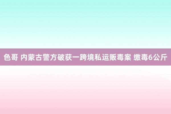 色哥 内蒙古警方破获一跨境私运贩毒案 缴毒6公斤