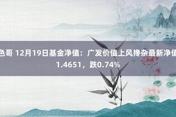 色哥 12月19日基金净值：广发价值上风搀杂最新净值1.4651，跌0.74%