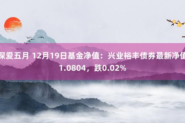 深爱五月 12月19日基金净值：兴业裕丰债券最新净值1.0804，跌0.02%