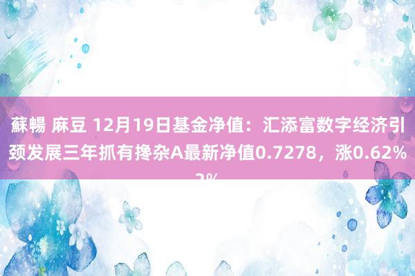 蘇暢 麻豆 12月19日基金净值：汇添富数字经济引颈发展三年抓有搀杂A最新净值0.7278，涨0.62%