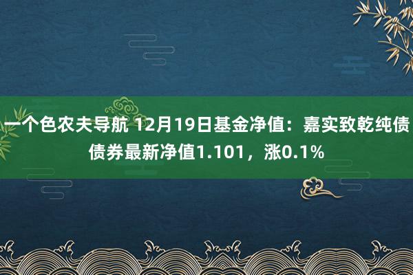 一个色农夫导航 12月19日基金净值：嘉实致乾纯债债券最新净值1.101，涨0.1%