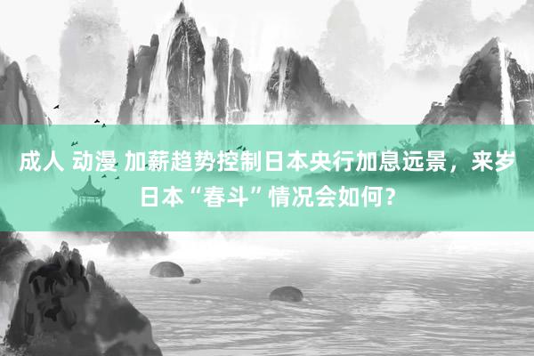 成人 动漫 加薪趋势控制日本央行加息远景，来岁日本“春斗”情况会如何？