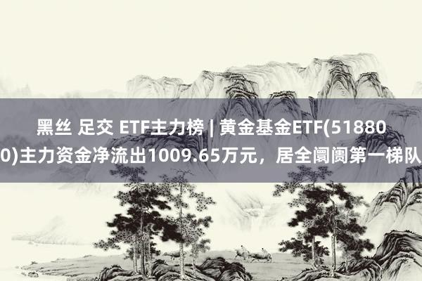 黑丝 足交 ETF主力榜 | 黄金基金ETF(518800)主力资金净流出1009.65万元，居全阛阓第一梯队