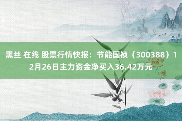 黑丝 在线 股票行情快报：节能国祯（300388）12月26日主力资金净买入36.42万元