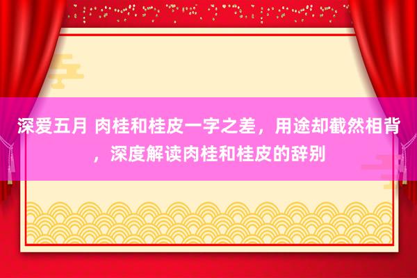 深爱五月 肉桂和桂皮一字之差，用途却截然相背，深度解读肉桂和桂皮的辞别