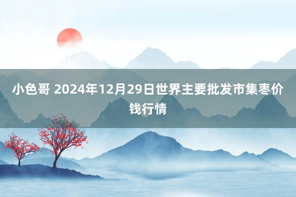 小色哥 2024年12月29日世界主要批发市集枣价钱行情