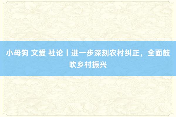 小母狗 文爱 社论丨进一步深刻农村纠正，全面鼓吹乡村振兴