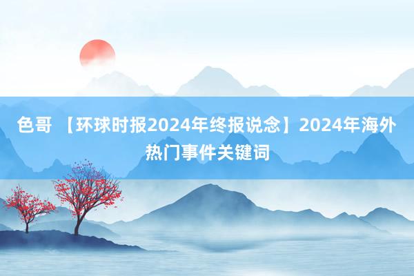 色哥 【环球时报2024年终报说念】2024年海外热门事件关键词