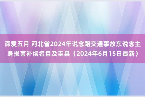 深爱五月 河北省2024年说念路交通事故东说念主身损害补偿名目及圭臬（2024年6月15日最新）