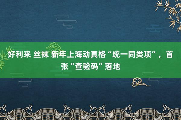 好利来 丝袜 新年上海动真格“统一同类项”，首张“查验码”落地