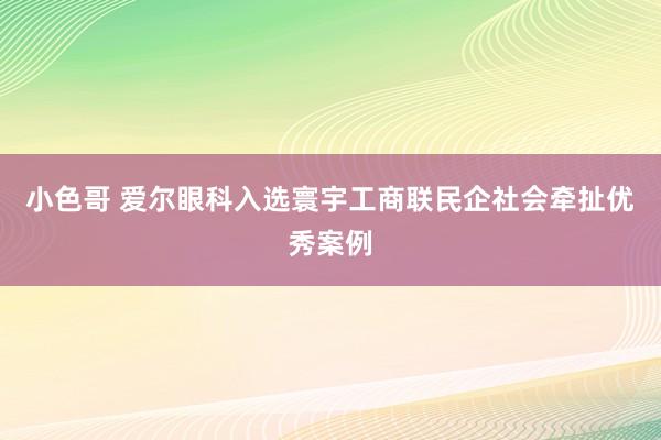 小色哥 爱尔眼科入选寰宇工商联民企社会牵扯优秀案例