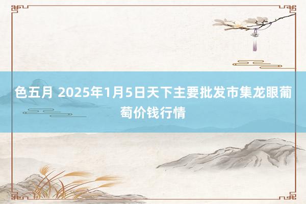 色五月 2025年1月5日天下主要批发市集龙眼葡萄价钱行情